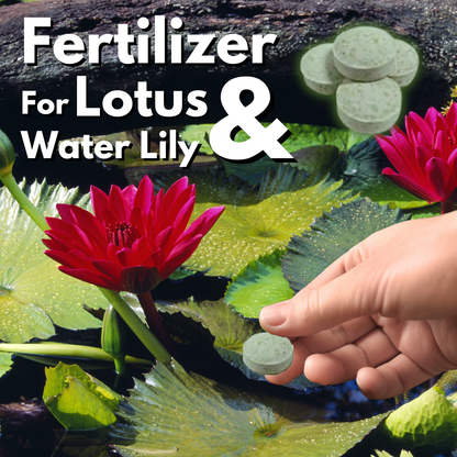 Set 2 Formular Thai Lotus & Water Lily Fertilizer Pellets for Pond Plants, Boost Flower Bloom Root Growth – Safe for Fish and Aquatic Life