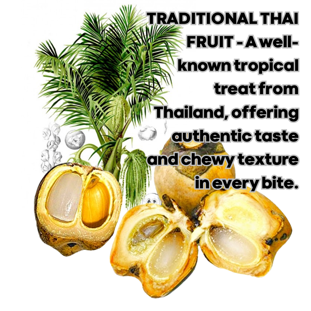UNCLEJUM Dried Thai Attap Fruit Seed (Toddy Palm Seed) 250g – No Sugar Added Tropical Fruit Snack | High Fiber, Preservative-Free, Naturally Sweet Thai Palm Fruit