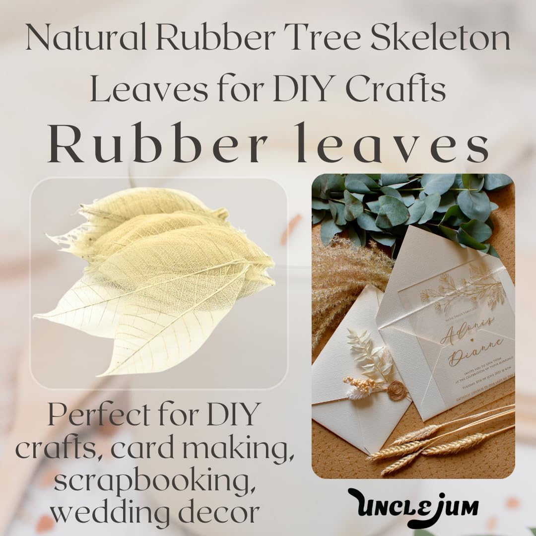 100 pcs Natural Rubber Tree Skeleton Leaves – DIY Crafts, Scrapbooking, Wedding Decor (2–5 inches)