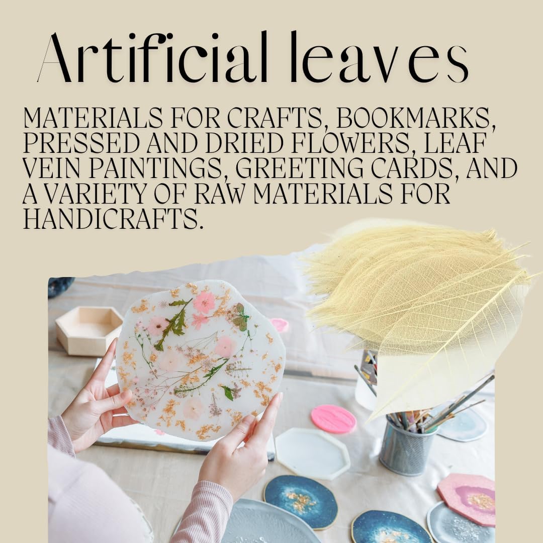 100 pcs Natural Rubber Tree Skeleton Leaves – DIY Crafts, Scrapbooking, Wedding Decor (2–5 inches)