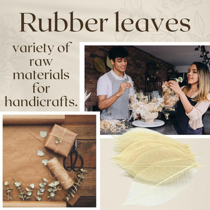 100 pcs Natural Rubber Tree Skeleton Leaves – DIY Crafts, Scrapbooking, Wedding Decor (2–5 inches)