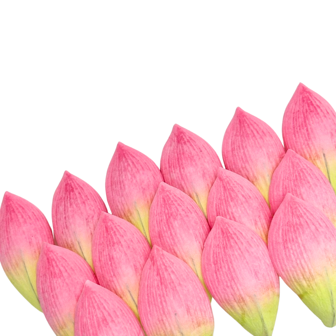 UNCLEJUM Artificial Lotus Flower Petals 50pcs – 3 Inch Realistic Fabric Petals for DIY Floral Arrangements, Crafts & Decorations