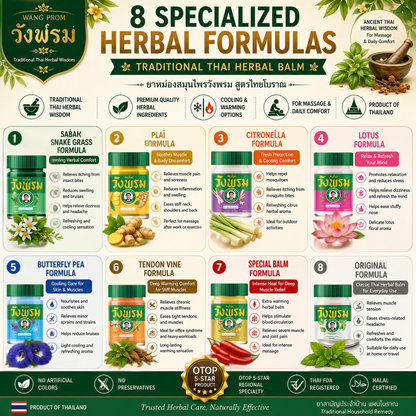 Thai Traditional Herbal Balm – Wang Prom Ancient Herbal Formula | Cooling & Warming Herbal Balms | Product of Thailand